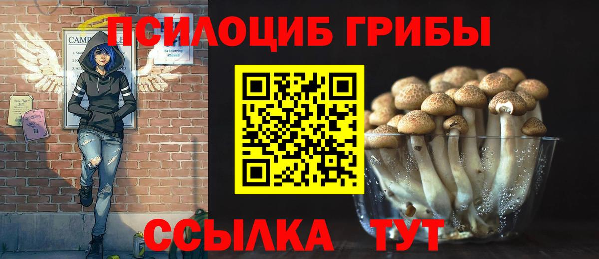 Королёв  Псилоцибиновые грибы ЛСД  Вход с VPN  Галлюциногенные грибы Psilocybine cubensis 
